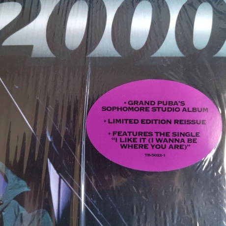 Grand Puba - 2000 (0016998502211) виниловая пластинка - фото 7
