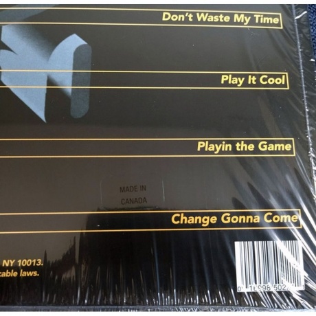 Grand Puba - 2000 (0016998502211) виниловая пластинка - фото 9