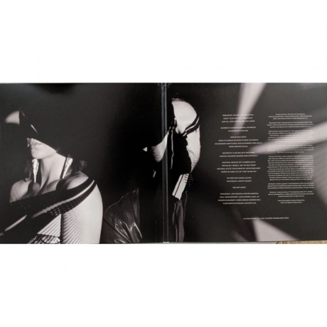 Phantogram - Voices (0602537701063) виниловая пластинка - фото 2