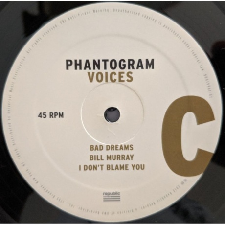 Phantogram - Voices (0602537701063) виниловая пластинка - фото 6