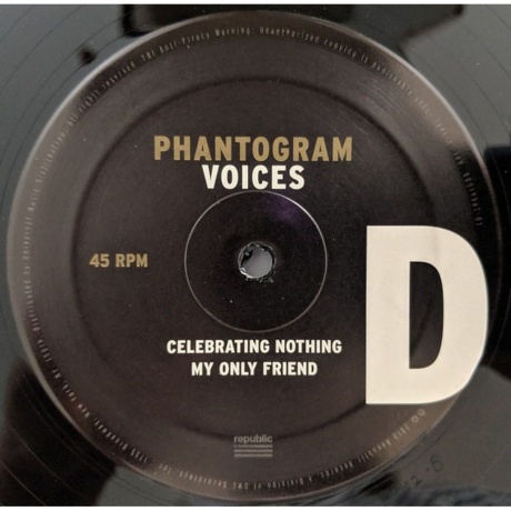 Phantogram - Voices (0602537701063) виниловая пластинка - фото 7