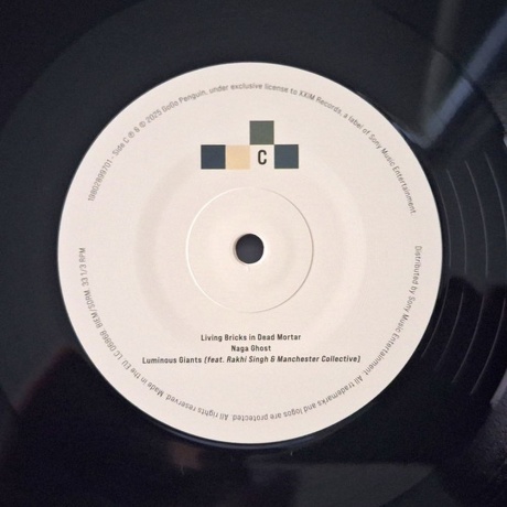 GoGo Penguin - Necessary Fictions (0198028997010) виниловая пластинка - фото 7