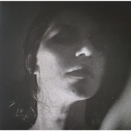 Aldous Harding - Party (0191400000810) виниловая пластинка