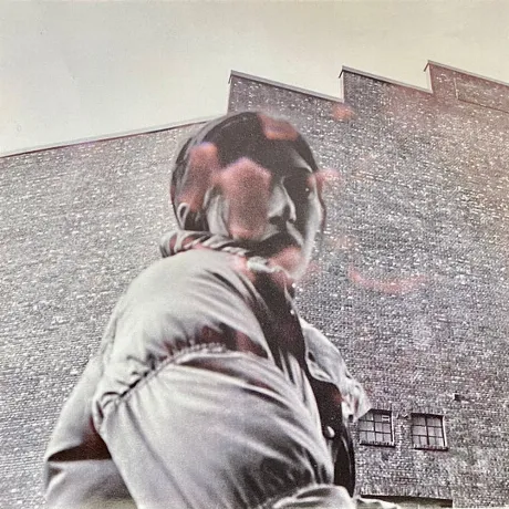 Aldous Harding - Warm Chris (0191400039117) виниловая пластинка