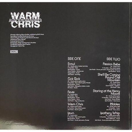 Aldous Harding - Warm Chris (0191400039117) виниловая пластинка - фото 2