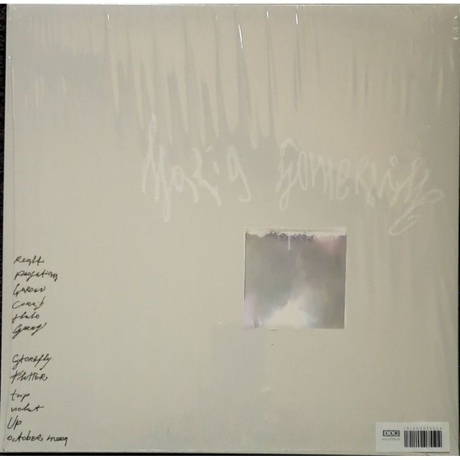 Maria Somerville - Luster (coloured) (0191400075504) виниловая пластинка - фото 2