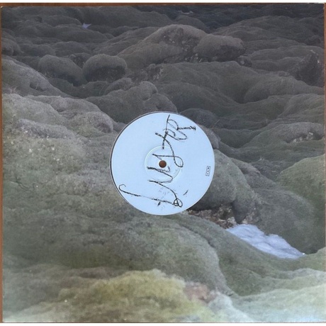 Maria Somerville - Luster (coloured) (0191400075504) виниловая пластинка - фото 7