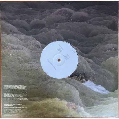 Maria Somerville - Luster (coloured) (0191400075504) виниловая пластинка - фото 8