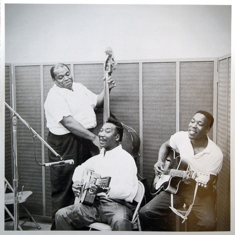 Muddy Waters - Folk Singer (Analogue) (0753088148378) виниловая пластинка - фото 10