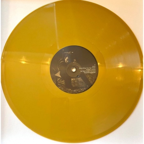 Tom Waits - Alice (coloured) (0045778663248) виниловая пластинка - фото 7