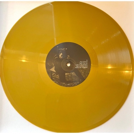 Tom Waits - Alice (coloured) (0045778663248) виниловая пластинка - фото 8