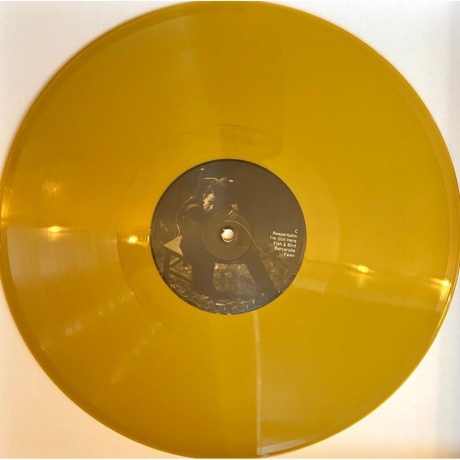 Tom Waits - Alice (coloured) (0045778663248) виниловая пластинка - фото 9