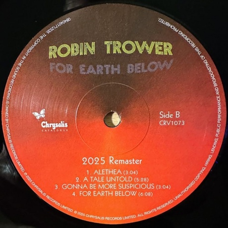 Robin Trower - For Earth Below (0840401712535) виниловая пластинка - фото 6