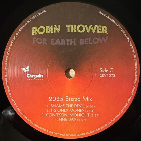 Robin Trower - For Earth Below (0840401712535) виниловая пластинка - фото 7