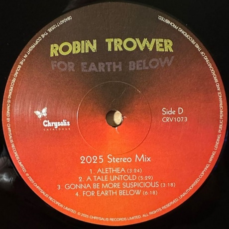 Robin Trower - For Earth Below (0840401712535) виниловая пластинка - фото 8