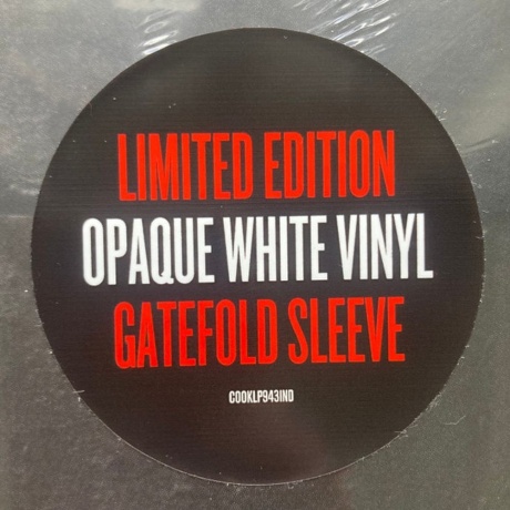 Suzanne Vega - Flying With Angels (coloured) (0711297924350) виниловая пластинка - фото 3