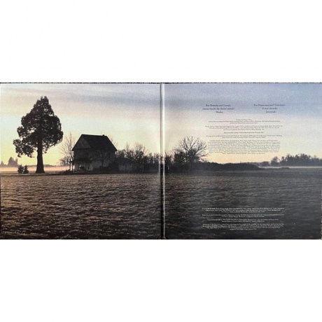 The Lumineers - III (0803020195110) виниловая пластинка - фото 3