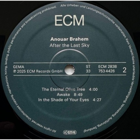 Anouar Brahem - After The Last Sky (0602475344254) виниловая пластинка - фото 4