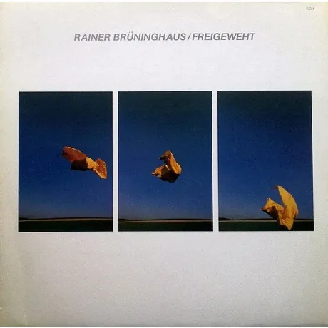 Rainer Bruninghaus - Freigeweht (Analogue) (0602458923704) винил...