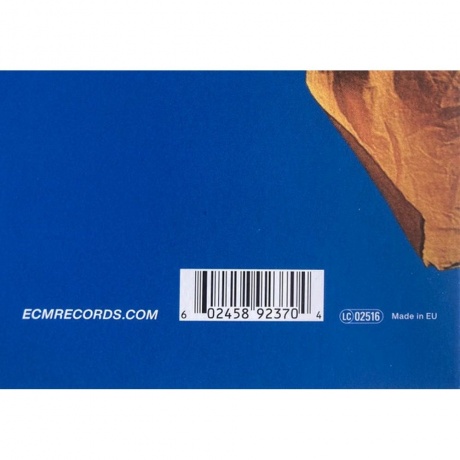 Rainer Bruninghaus - Freigeweht (Analogue) (0602458923704) виниловая пластинка - фото 3