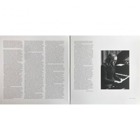 Rainer Bruninghaus - Freigeweht (Analogue) (0602458923704) виниловая пластинка - фото 5