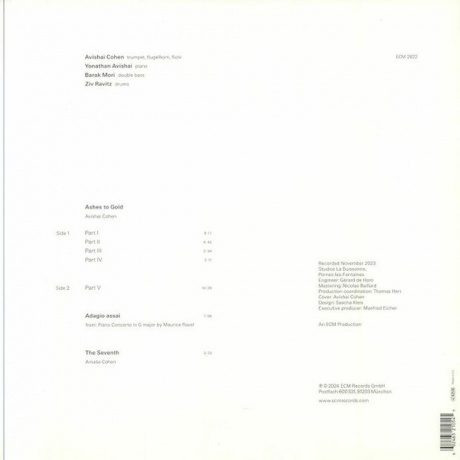 Avishai Cohen - Ashes To Gold (0602465210545) виниловая пластинка - фото 2