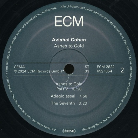 Avishai Cohen - Ashes To Gold (0602465210545) виниловая пластинка - фото 4