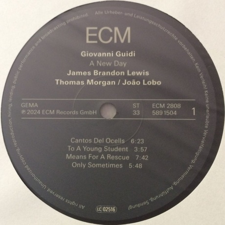 Giovanni Guidi - A New Day (0602458915044) виниловая пластинка - фото 3