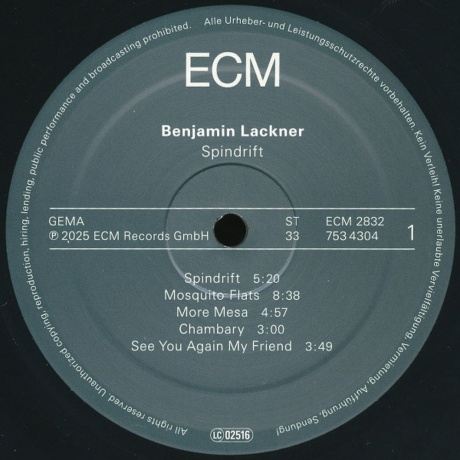 Benjamin Lackner - Spindrift (0602475343042) виниловая пластинка - фото 3
