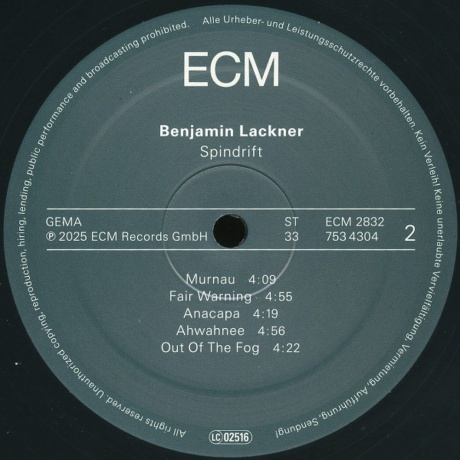 Benjamin Lackner - Spindrift (0602475343042) виниловая пластинка - фото 4