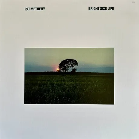 Pat Metheny - Bright Size Life (Analogue) (0602455238924) винило...