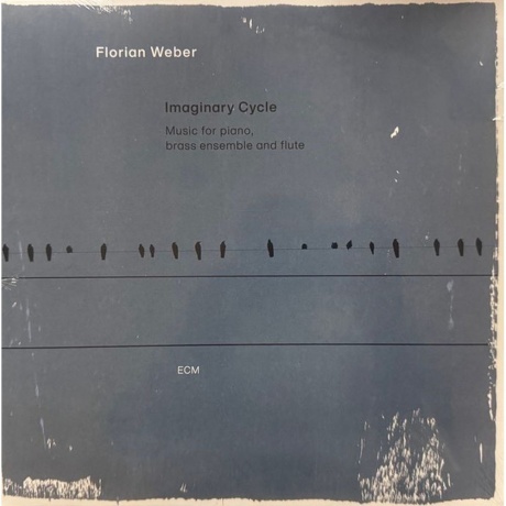 

Florian Weber - Imaginary Cycle (Music For Piano, Brass Ensemble And Flute) (0602465168891) виниловая пластинка