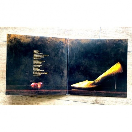 Chantal Chamberland - Temptation (Audiophile Edition) (4895241412189) виниловая пластинка - фото 3