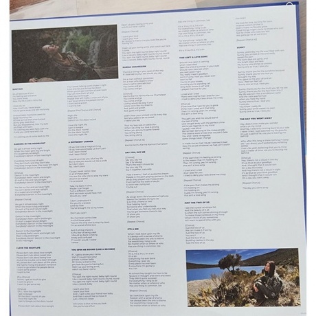 Susan Wong - Kamereon (Audiophile Edition) (4895241430688) виниловая пластинка - фото 6