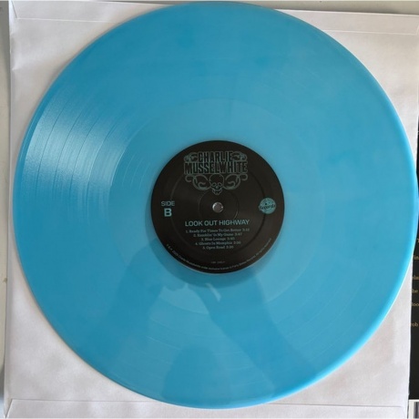 Charlie Musselwhite - Look Out Highway (coloured) (0762183958928) виниловая пластинка - фото 3