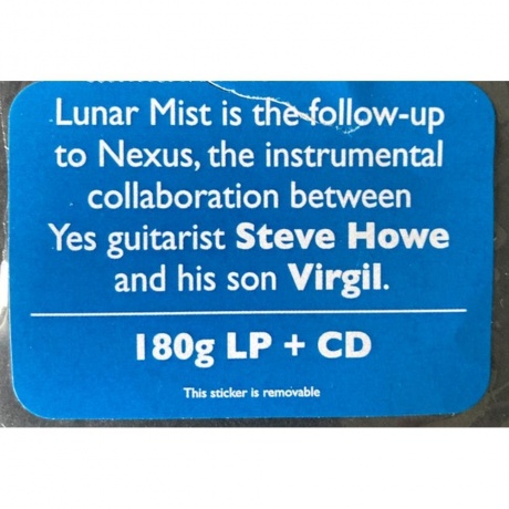 Steve &amp; Virgil Howe - Lunar Mist (0196587151911) виниловая пластинка - фото 2