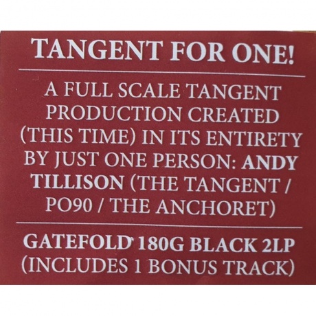 The Tangent - To Follow Polaris (0196588707018) виниловая пластинка - фото 10