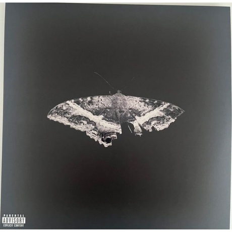 

Kendrick Lamar - To Pimp A Butterfly (alternative artwork) (0602478091186) виниловая пластинка