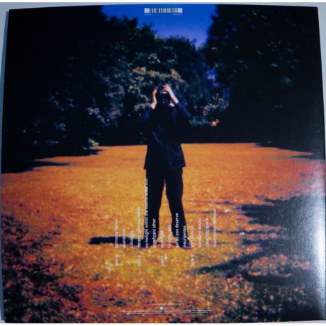 Steven Wilson - Insurgentes (0802644807218) виниловая пластинка - фото 2