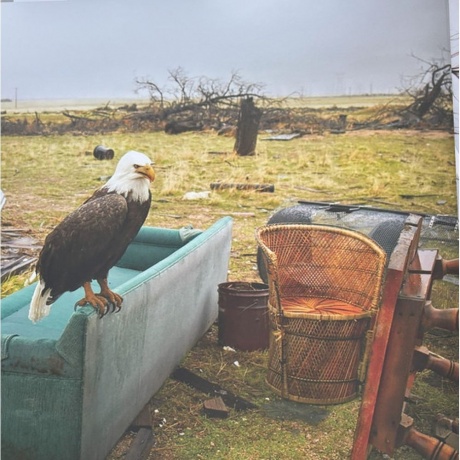 Jakob Dylan - Women + Country (coloured) (8719262035768) виниловая пластинка - фото 6