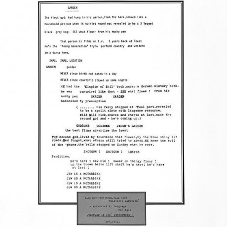 The Fall - Perverted By Language (coloured) (8719262027541) виниловая пластинка - фото 6