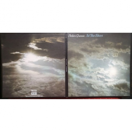 Peter Green - In The Skies (8719262001374) виниловая пластинка - фото 4