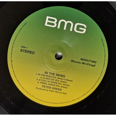 Peter Green - In The Skies (8719262001374) виниловая пластинка - фото 5