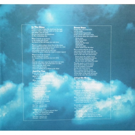 Peter Green - In The Skies (8719262001374) виниловая пластинка - фото 8