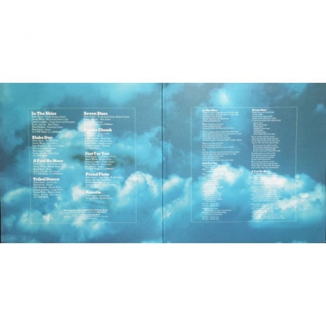 Peter Green - In The Skies (8719262001374) виниловая пластинка - фото 9