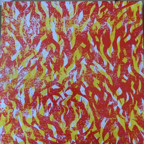 The Bug - Fire (coloured) (5054429149487) виниловая пластинка - фото 4