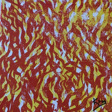 The Bug - Fire (coloured) (5054429149487) виниловая пластинка - фото 9