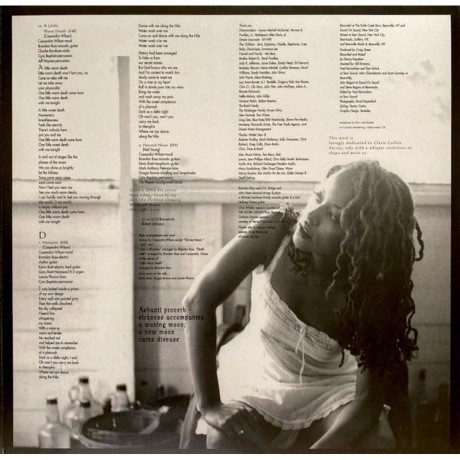 Cassandra Wilson - New Moon Daughter (Analogue) (5060149621790) виниловая пластинка - фото 3