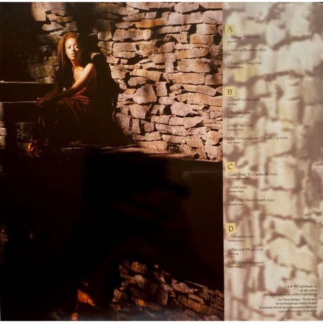 Cassandra Wilson - New Moon Daughter (Analogue) (5060149621790) виниловая пластинка - фото 4