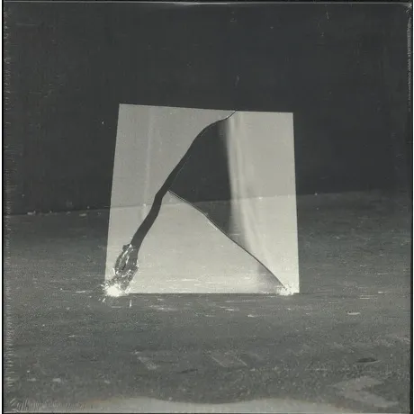 Jan Peter Schwalm - The Beauty Of Disaster (5060197760847) винил...